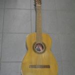 496 1350 Gitarr